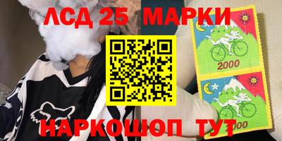 гашик Кандалакша