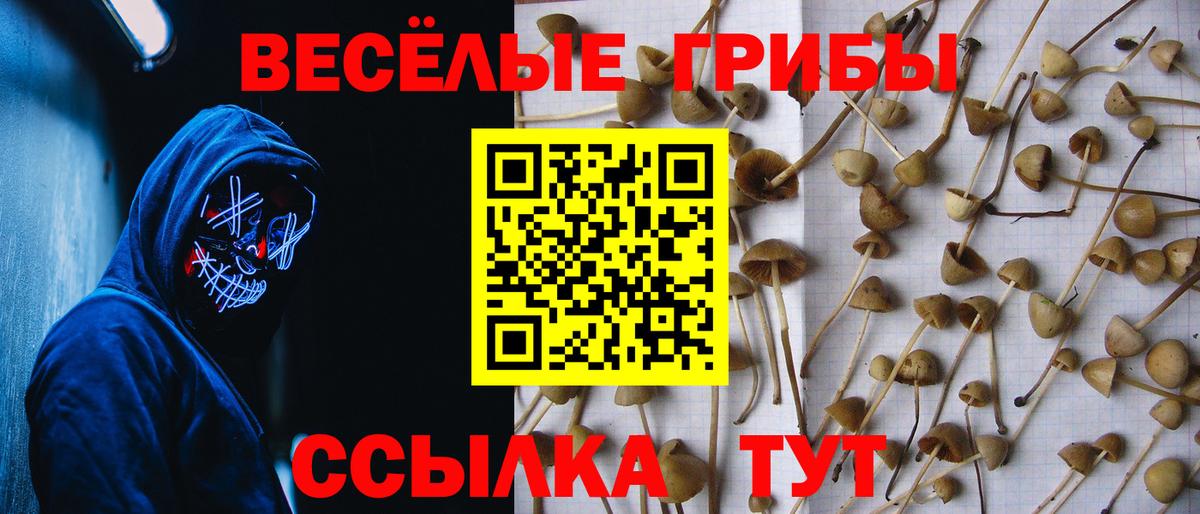 Галлюциногенные грибы GOLDEN TEACHER Кушва