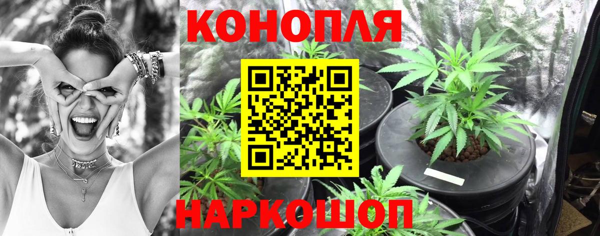 Кушва  МАРИХУАНА индика  Конопля сатива  Каннабис LSD WEED  Вход с VPN 